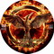 HUNGER GAMES-LA REVOLTE PARTIE 1